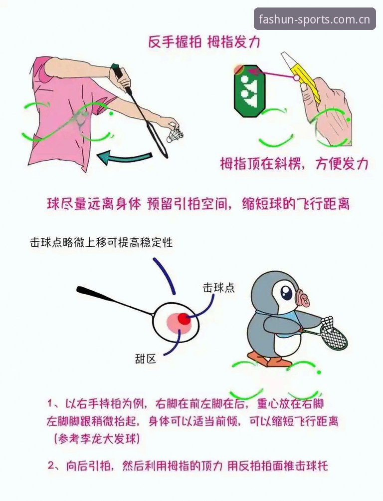 顺发体育平台新手教程最新动态：从零开始的完整操作指南